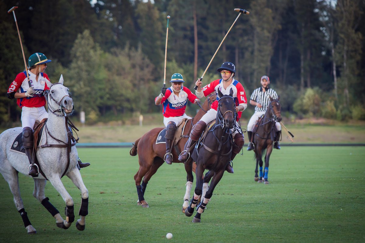 Традиционный спорт. Конный спорт Конное Полло. Поло для конного спорта. Поло Polo Sport. Конное поло Англия.